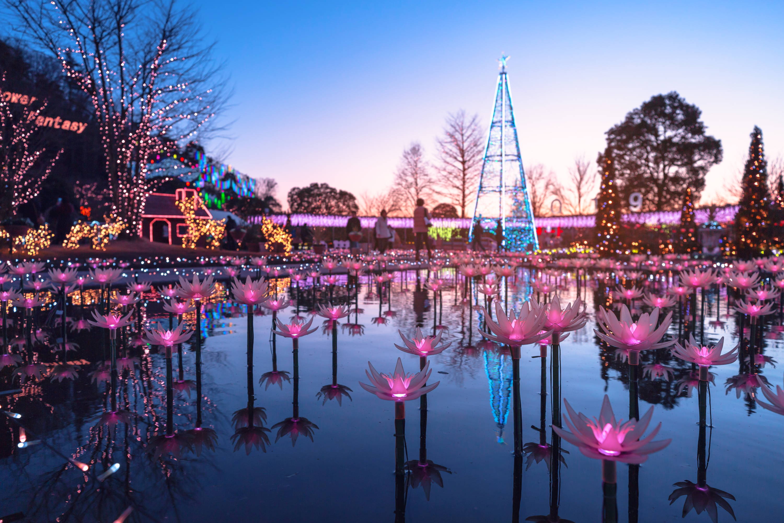 Ashikaga Flower Park Winter illuminations