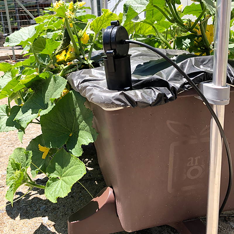 The automatic watering system set up inside a brown EarthBox original container