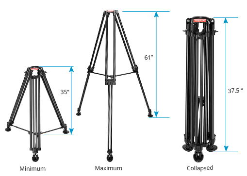 Proaim 100mm Camera Tripod Stand with Tripod Shoes