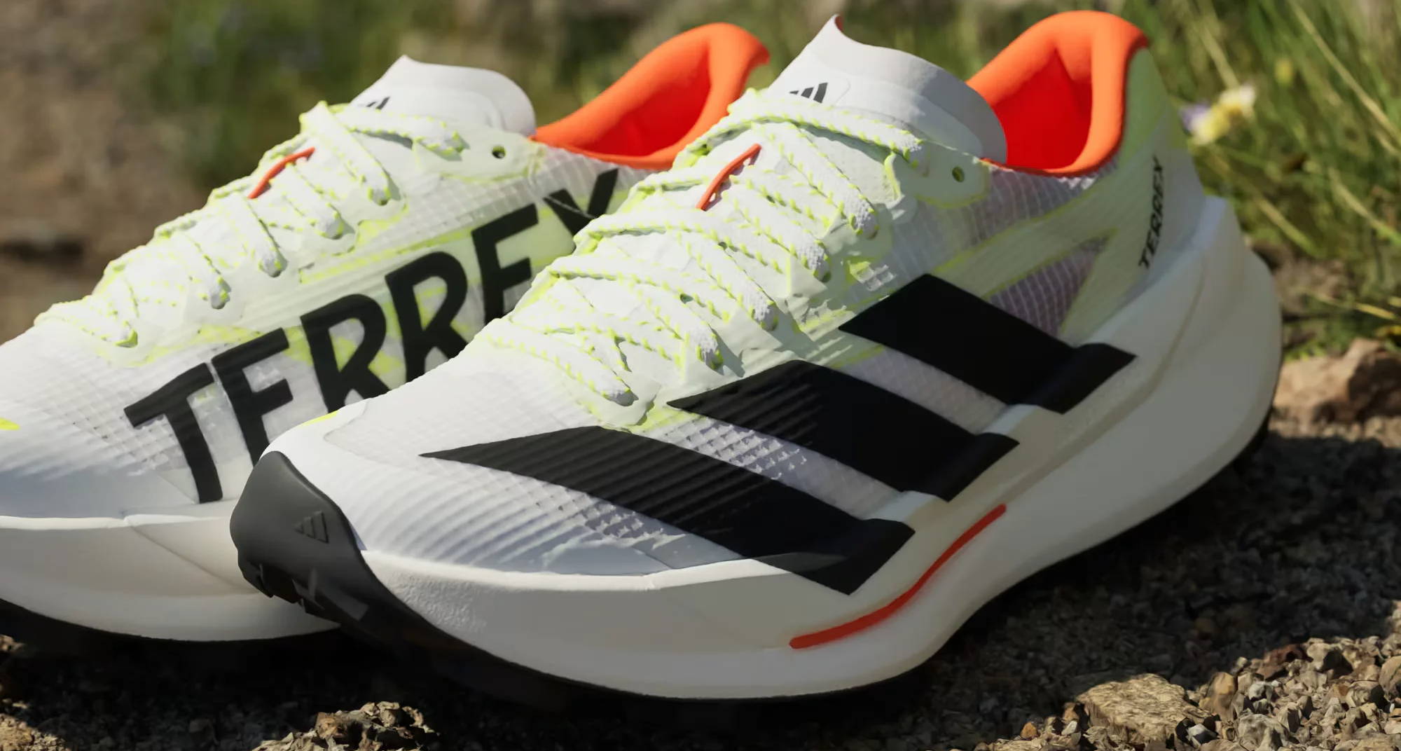 Adidas stripes