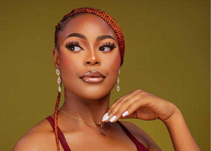 Colored Box b raids hairstyle