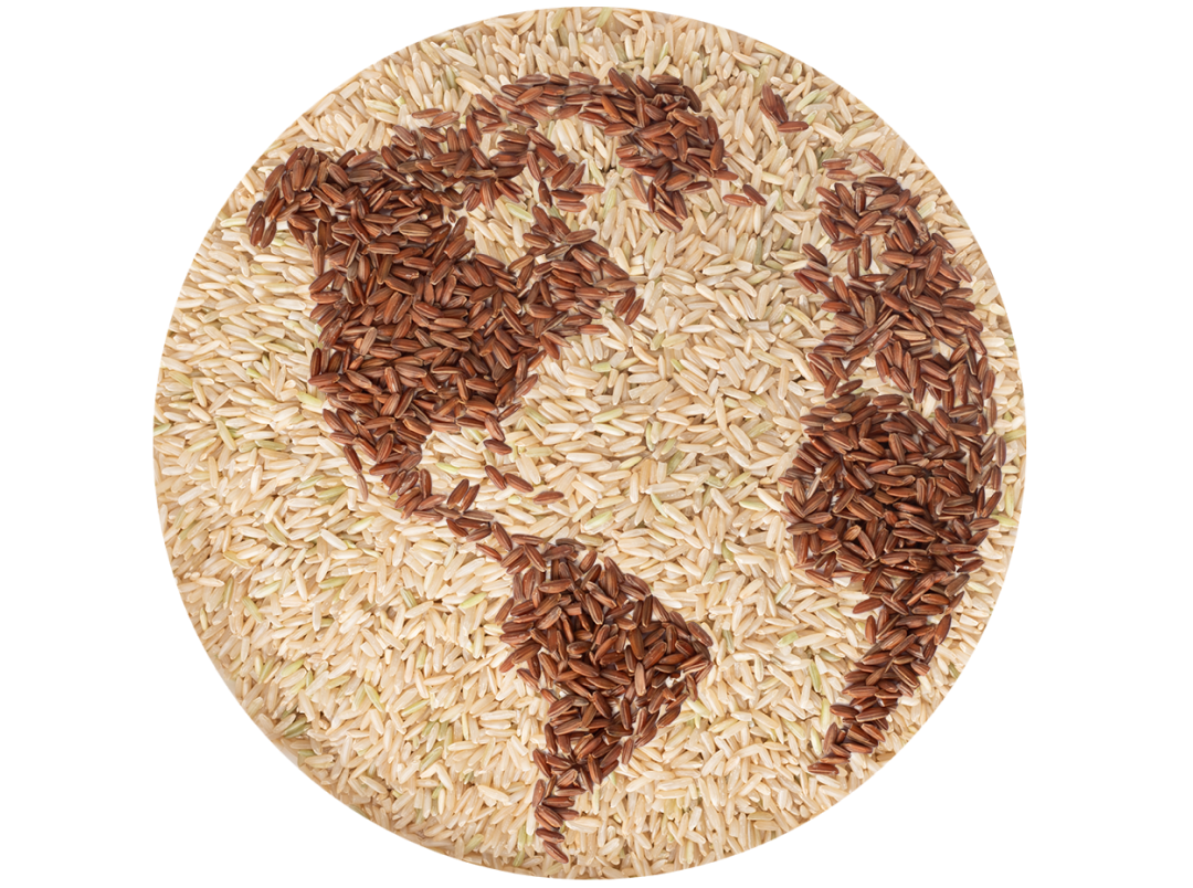 earth made of rice mosaic