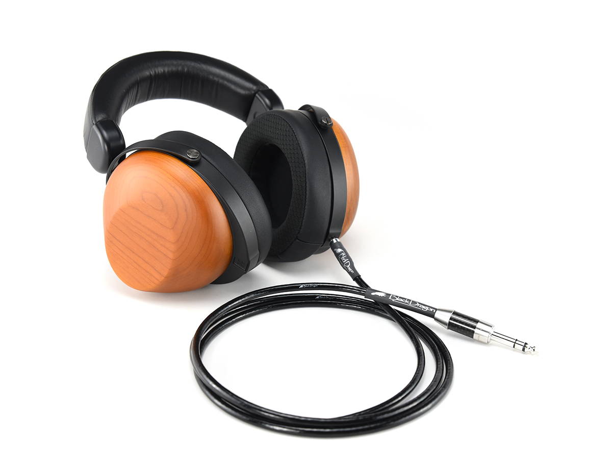 HiFIMan R10P with Black Dragon Premium Cable