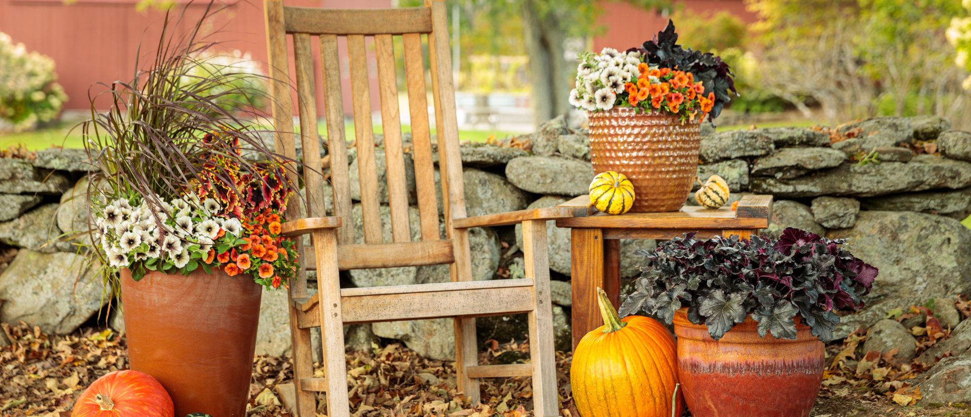 Scene of a wooden rocking chair outside surrounded by combination containers of Primo® Black Pearl, Superbells® Dreamsicle®, Supertunia® Blue Tiara™, Graceful Grasses® Purple Fountain Grass, ColorBlaze® El Brighto