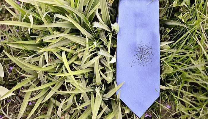 Dirt stained periwinkle tie in grass