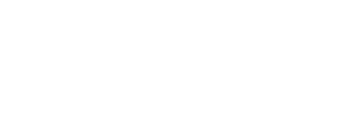 Zebra Premier Solution Partner