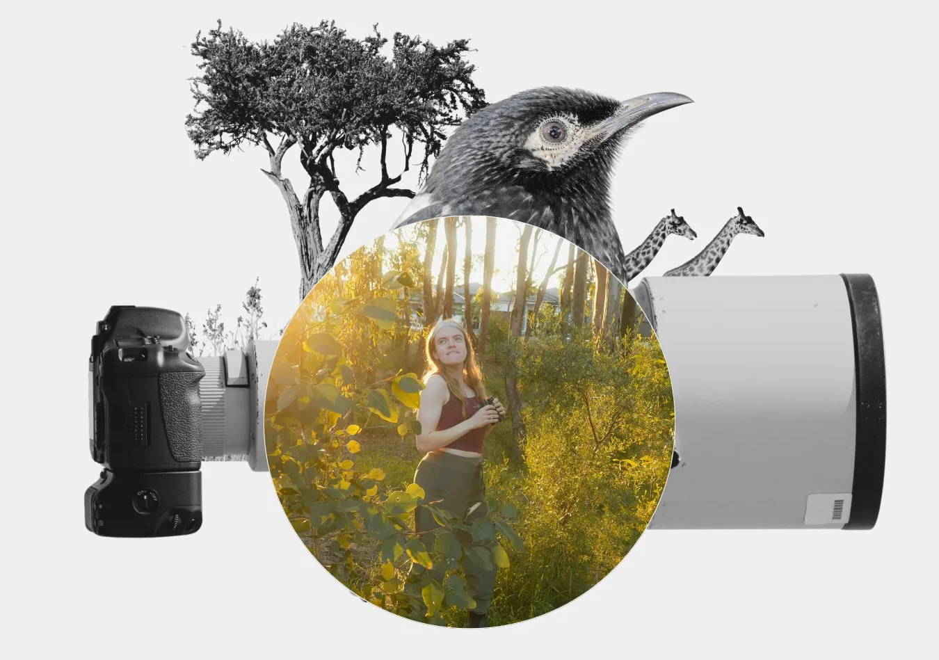 Wildlife photographer hero image for bird tales of Natasha Malkiewicz