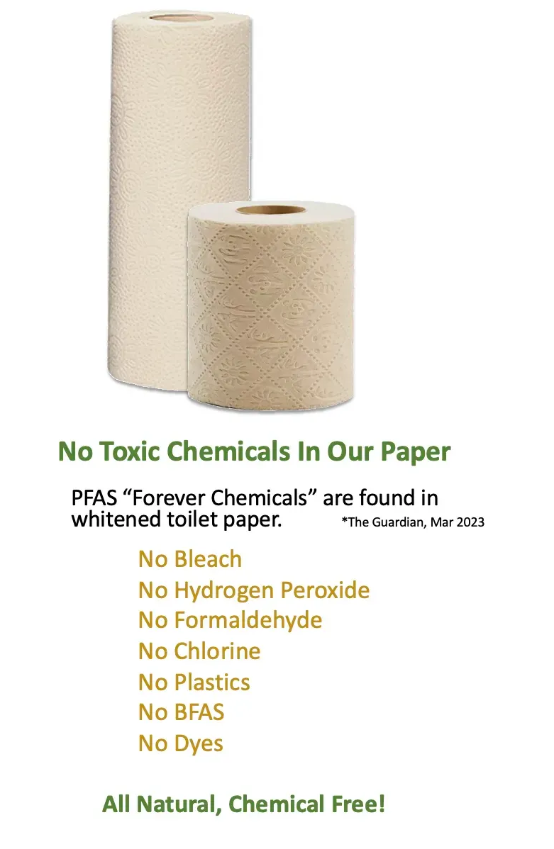 Toxic 'forever chemicals' found in toilet paper around the world, PFAS
