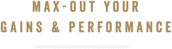 MAX-OUT YOUR GAINS & PERFORMANCE