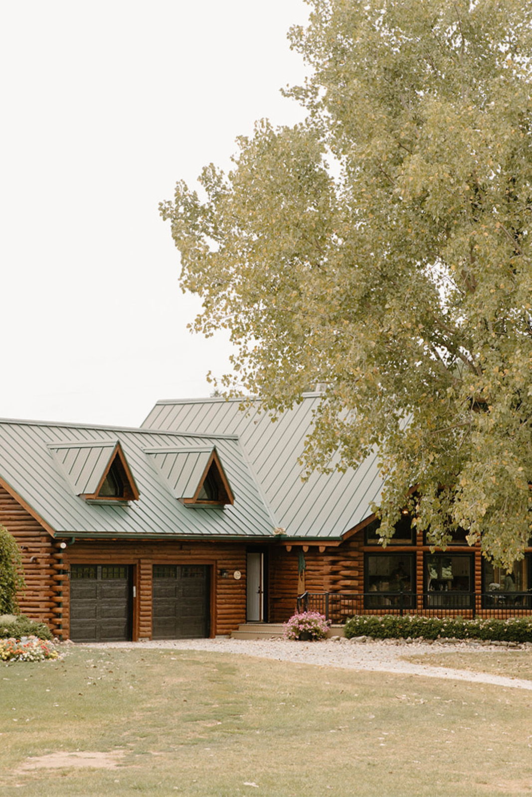 Log cabin with green metal roof and large windows surrounded by trees.