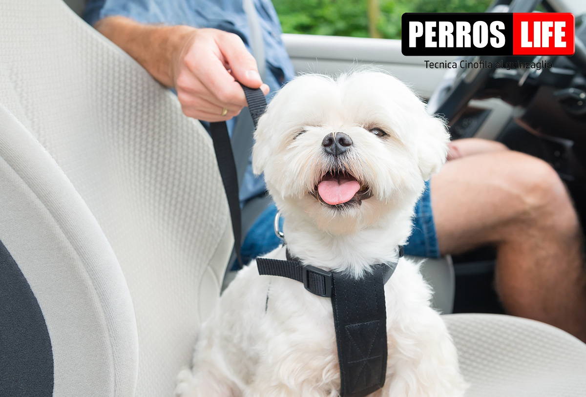 犬用 車用 PERROS シートベルトリード 使い方