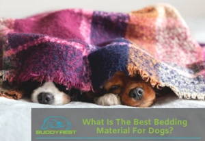What Is The Best Bedding Material For Dogs? 