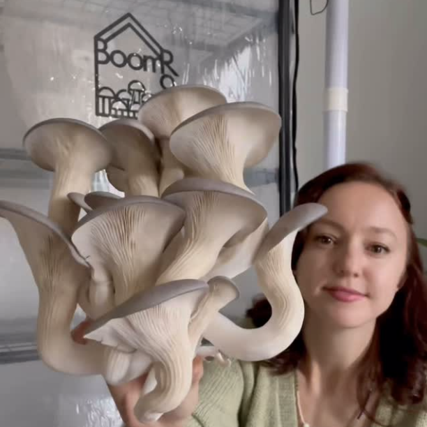 A person holding a large cluster of mushrooms indoors.