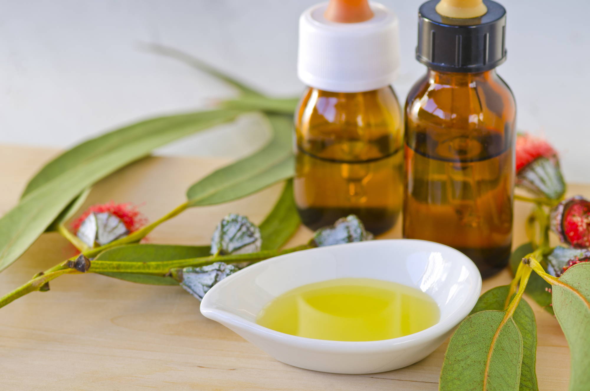 eucalyptus essential oil with leaves