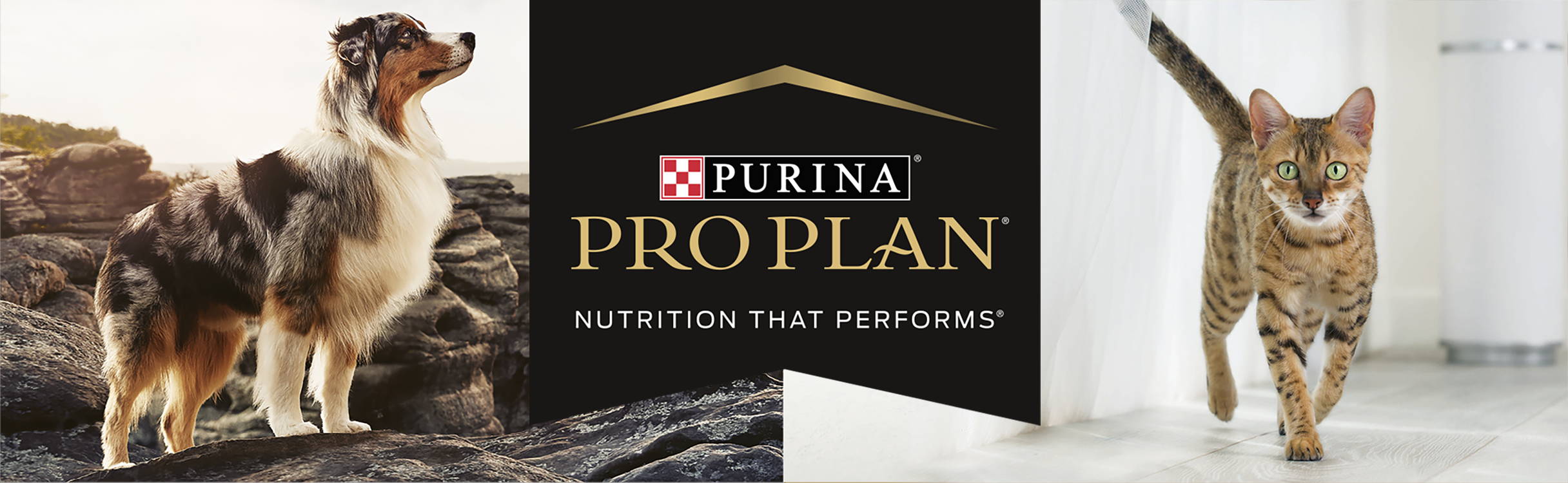 Pro Plan nutrition that performs