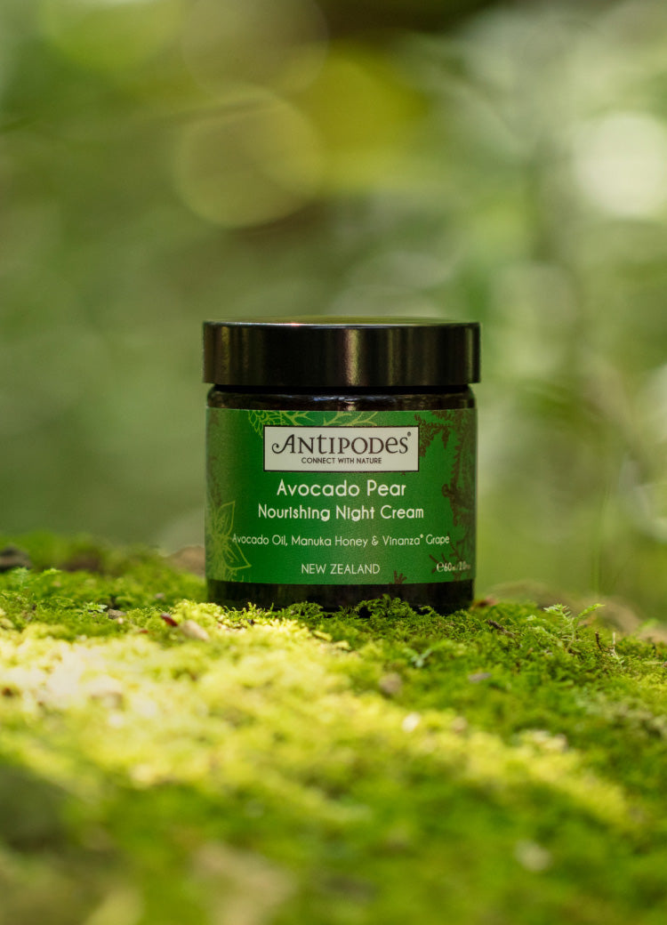 Avocado Collagen Boosting Night Cream 