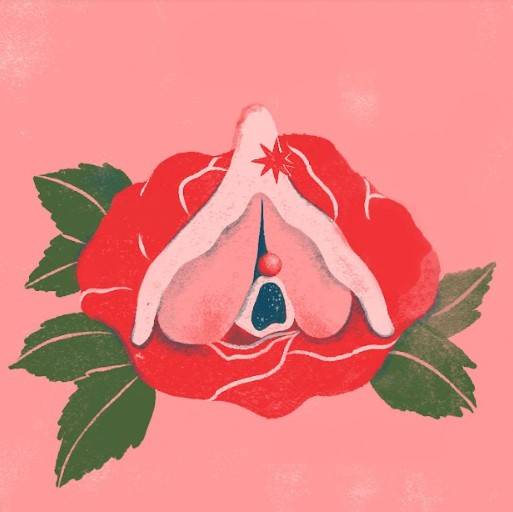 Ilustração de uma rosa aberta com referência aos grandes lábios e à vagina