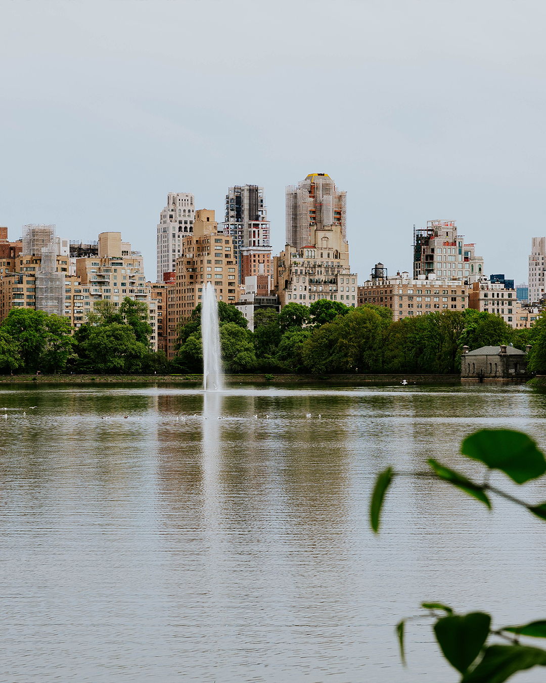 City skyline with a fountain in a lake and greenery in the foreground.