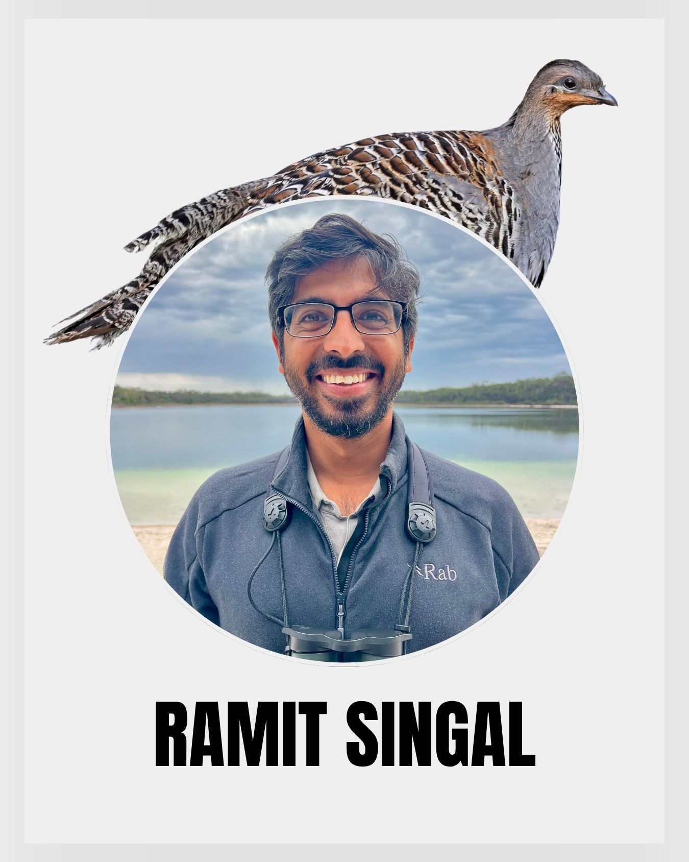 Bird Tales main image of Ramit Singal, a guide for Inala Nature with a Malleefowl