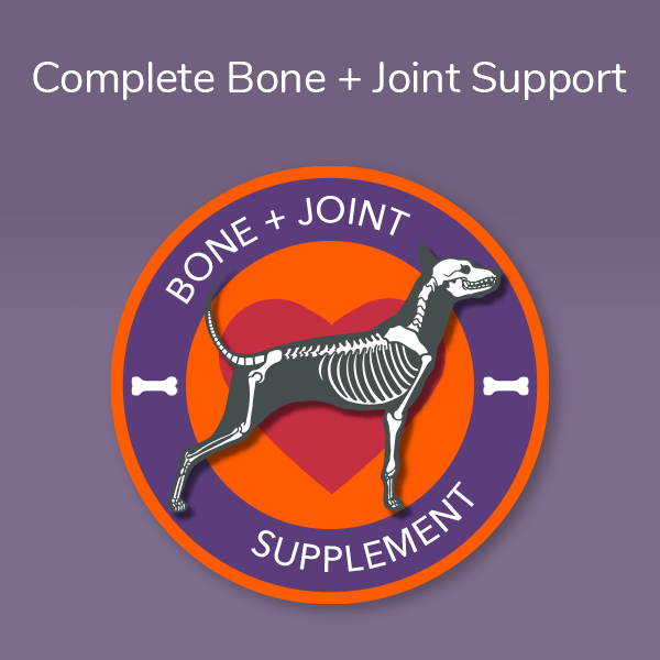 Boneo Dog Bone and Joint Support
