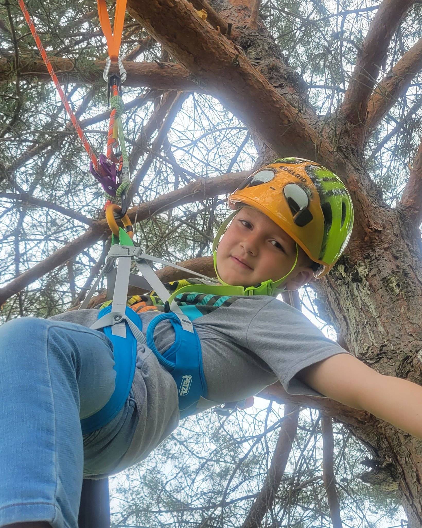 Kids Tree Climbing