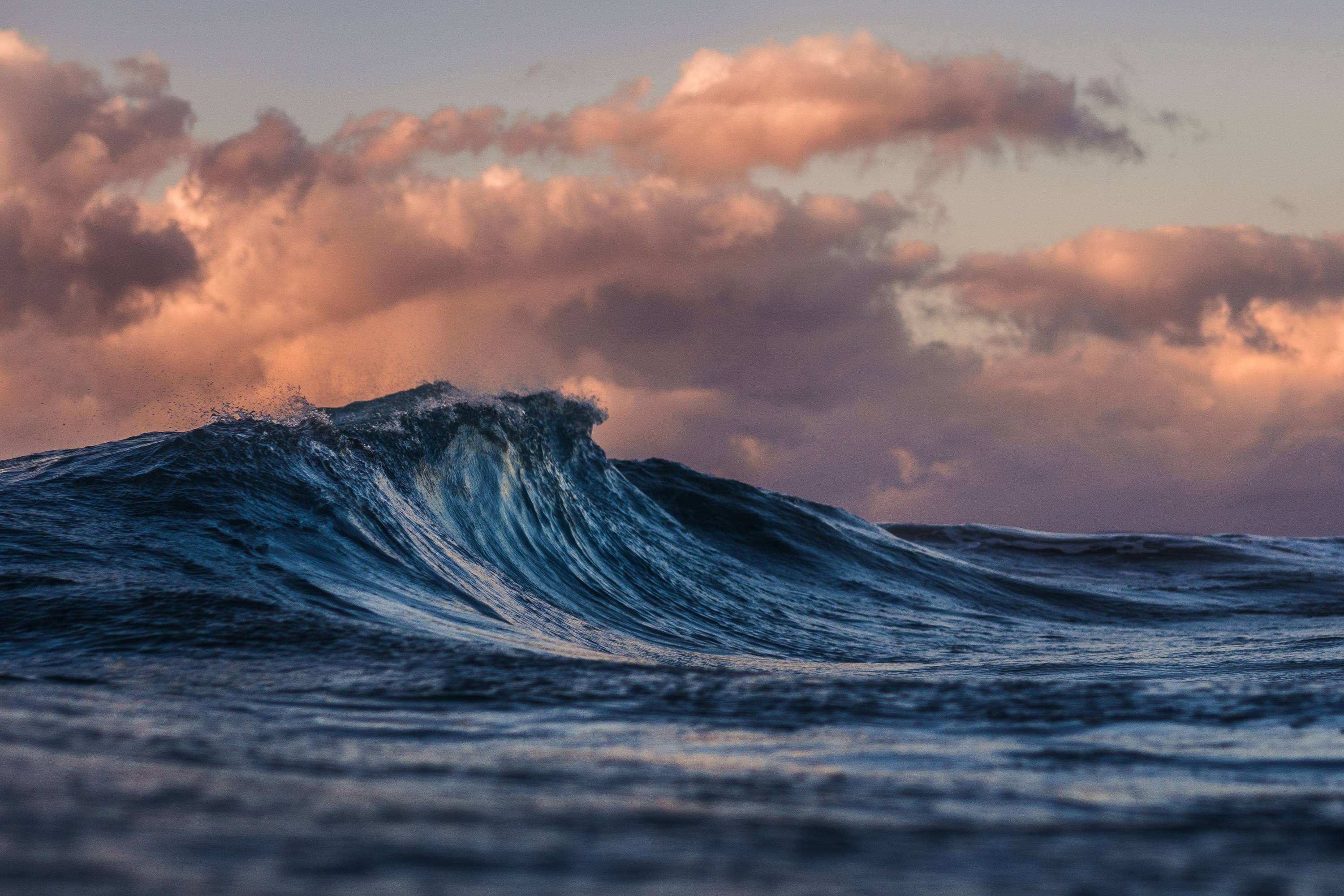 nature photography of a wave.