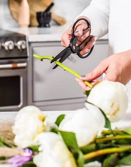 Woman cutting stems of ranunculus