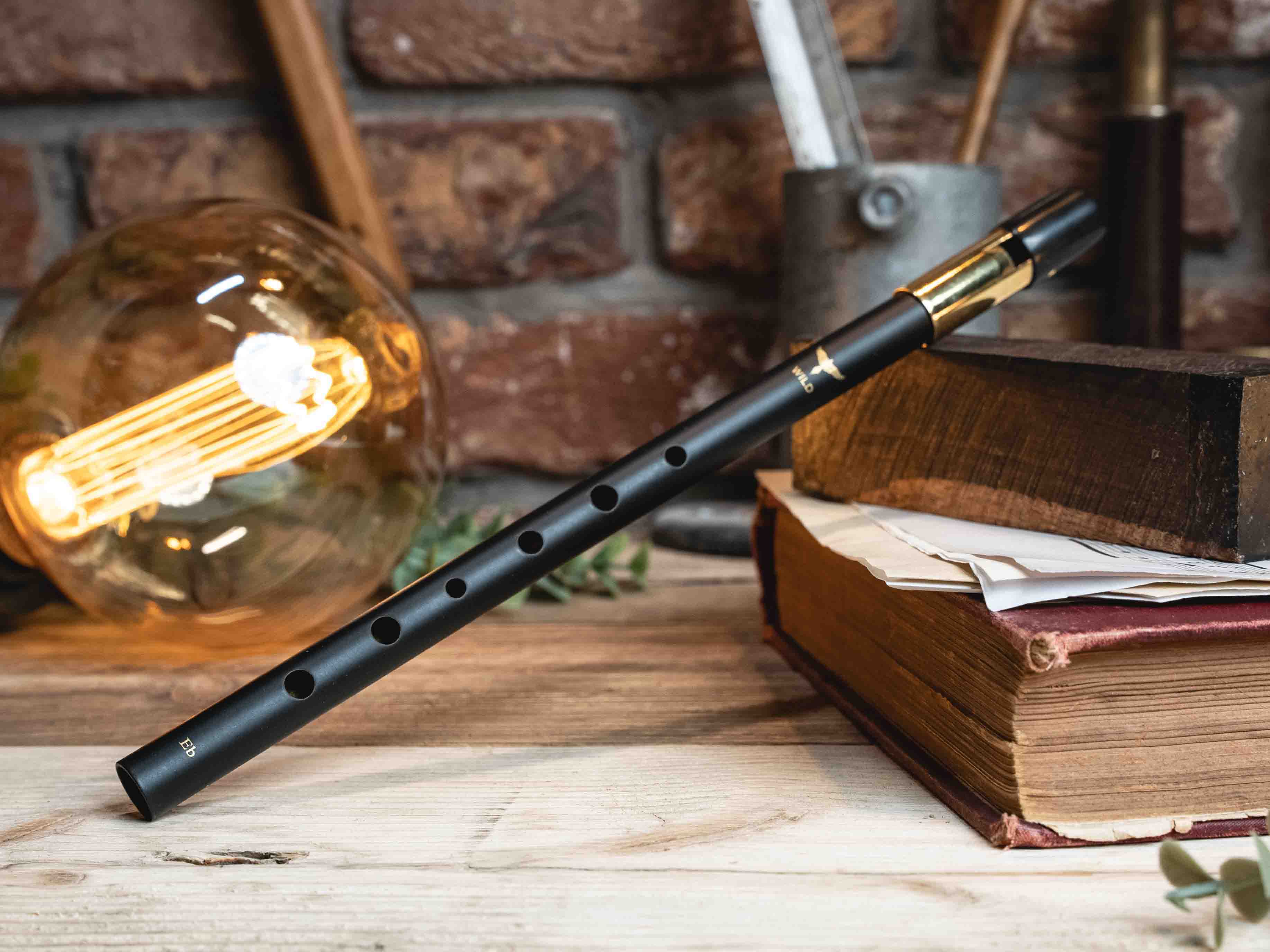 A Wild Whistle resting on a table with books and a light bulb.