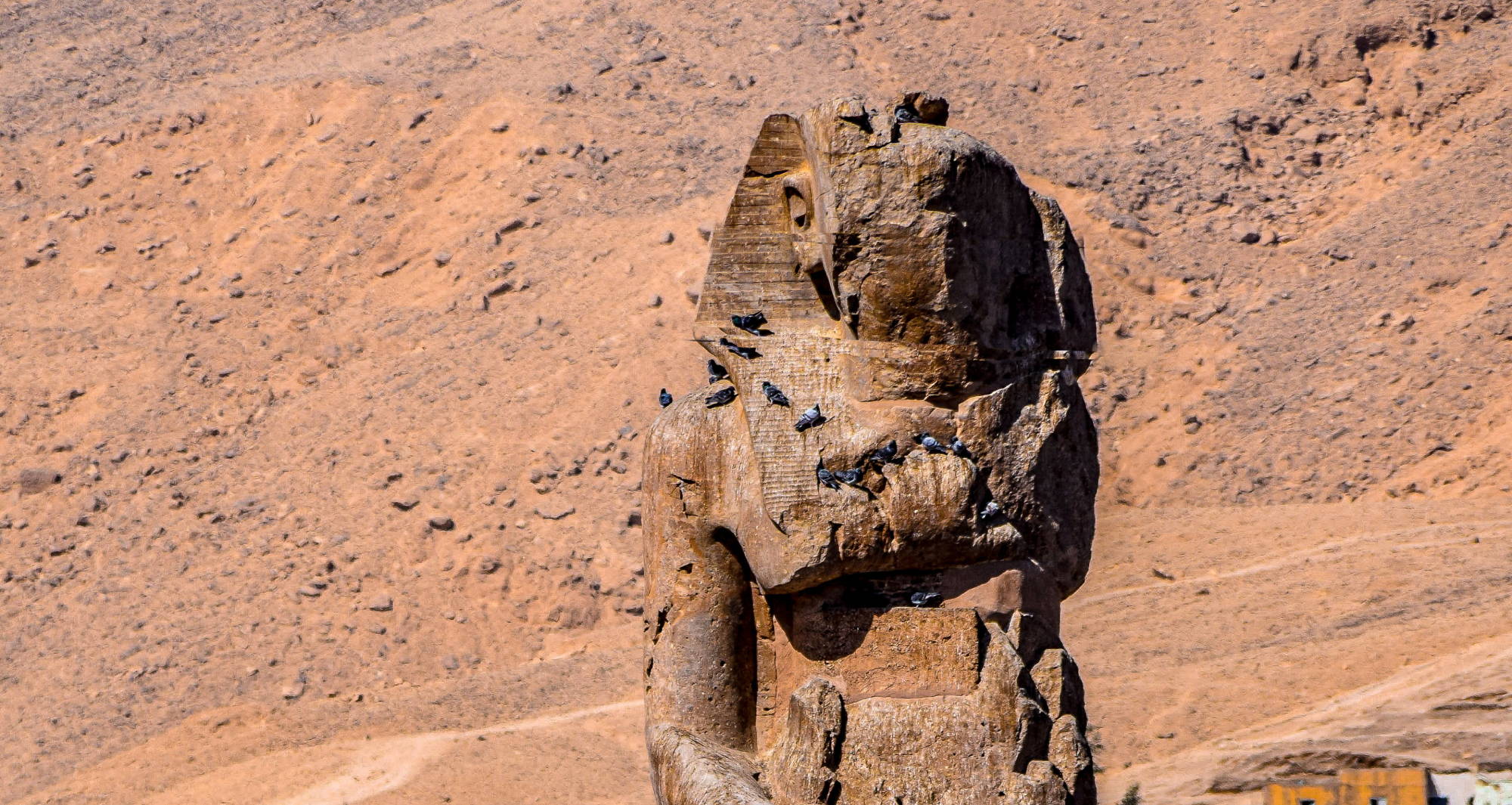 the sphinx statue in Luxor against red desert rock
