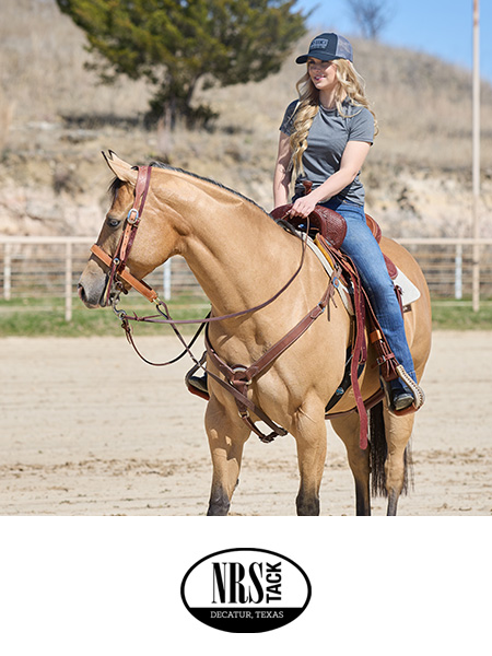 A person riding a horse in a riding arena.