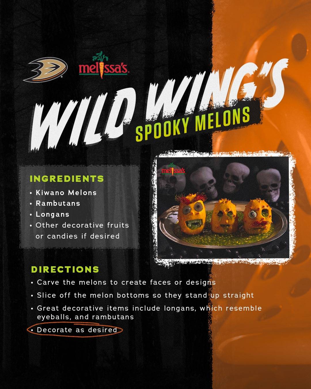 Image of wild wings eflyer