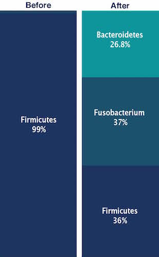 Results from Before and After the Dog Microbiome Test