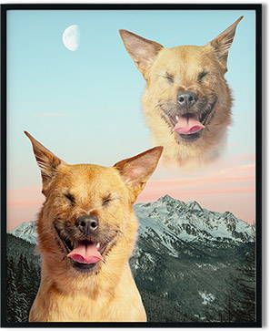 super imposed dog art on framed print