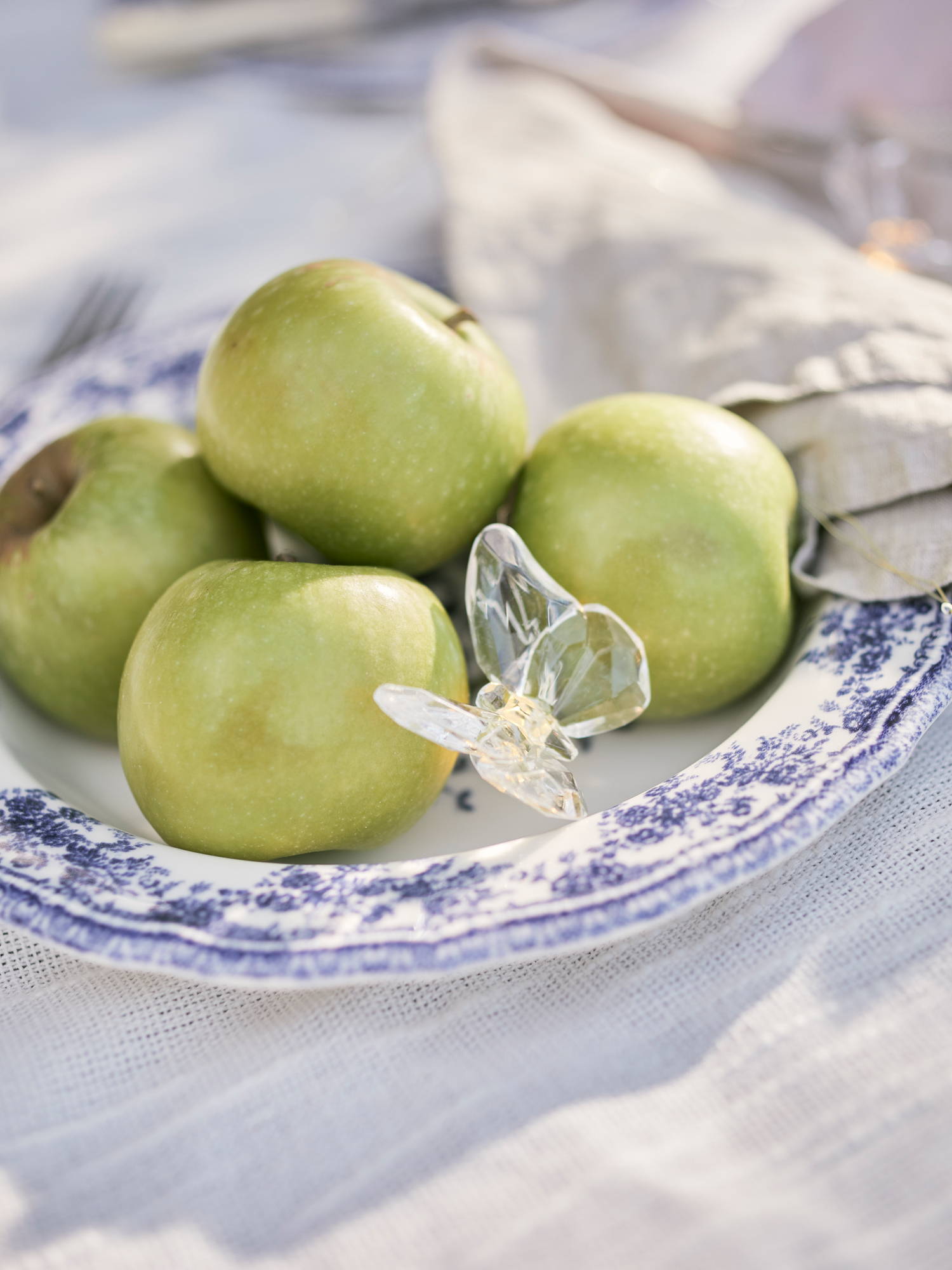 Warm white butterfly micro lights illuminated on plate of apples