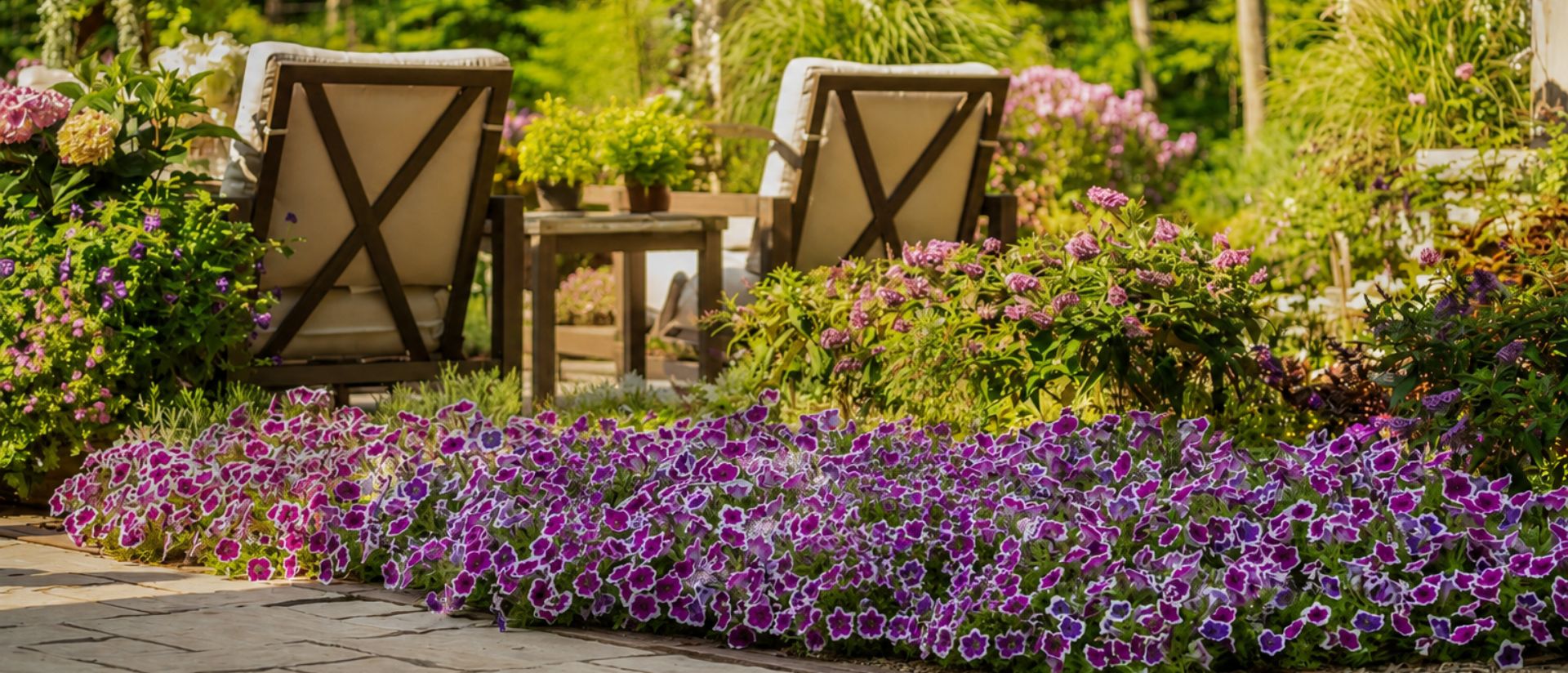 Garden full of Pugster Blue® and Supertunia® Hoopla® Vivid Orchid™