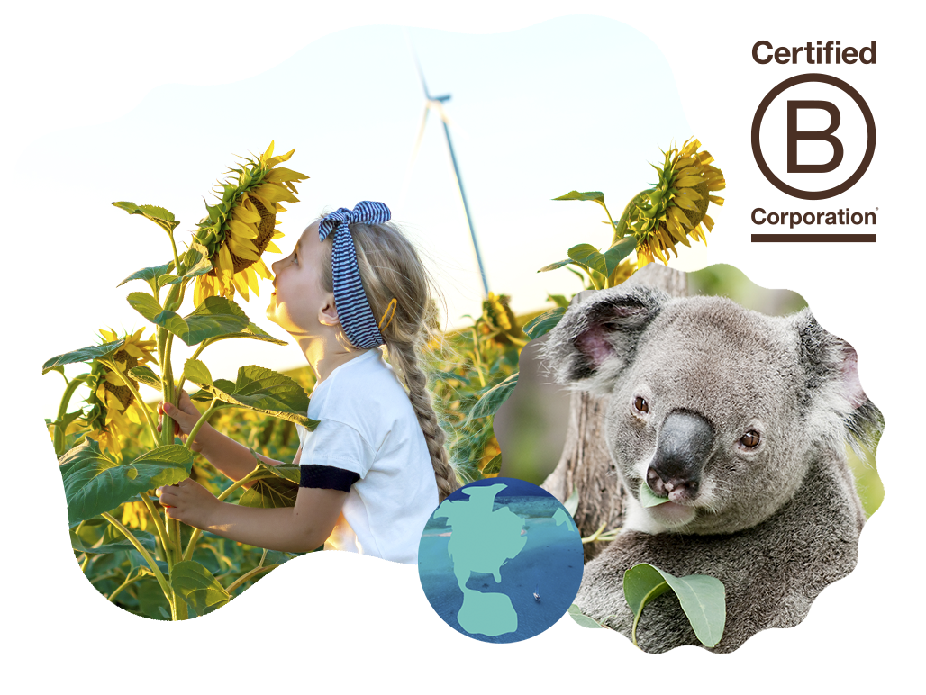 Collage of a Young girl with a sunflower and a koala in a tree