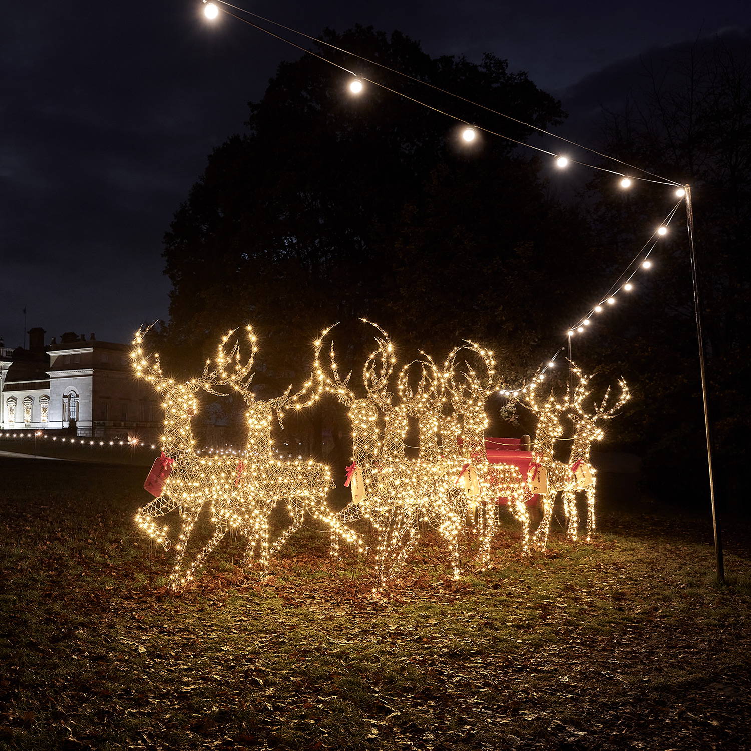 An impressive Light Up Reindeer display in the grounds of the stately home
