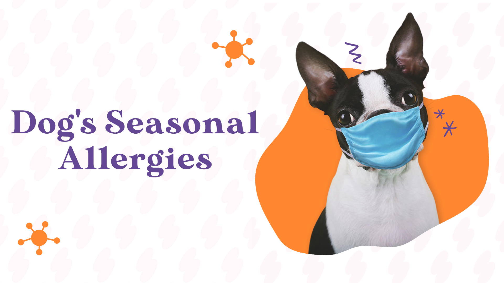 dog seasonal allergies