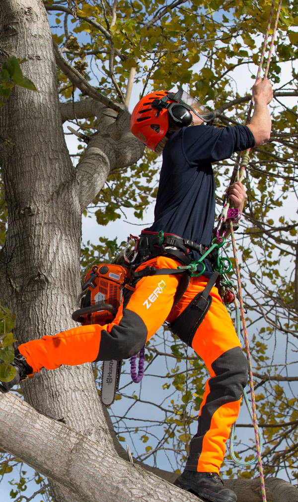 Clogger Zero Chainsaw Pants in Action