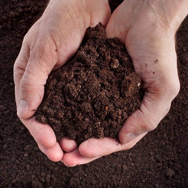 High Quality Organics Express organic soil