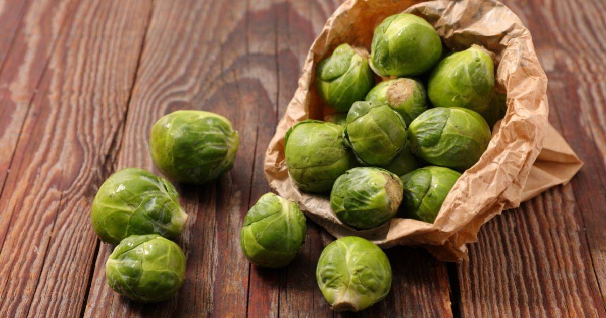 brussels sprouts are good for dogs