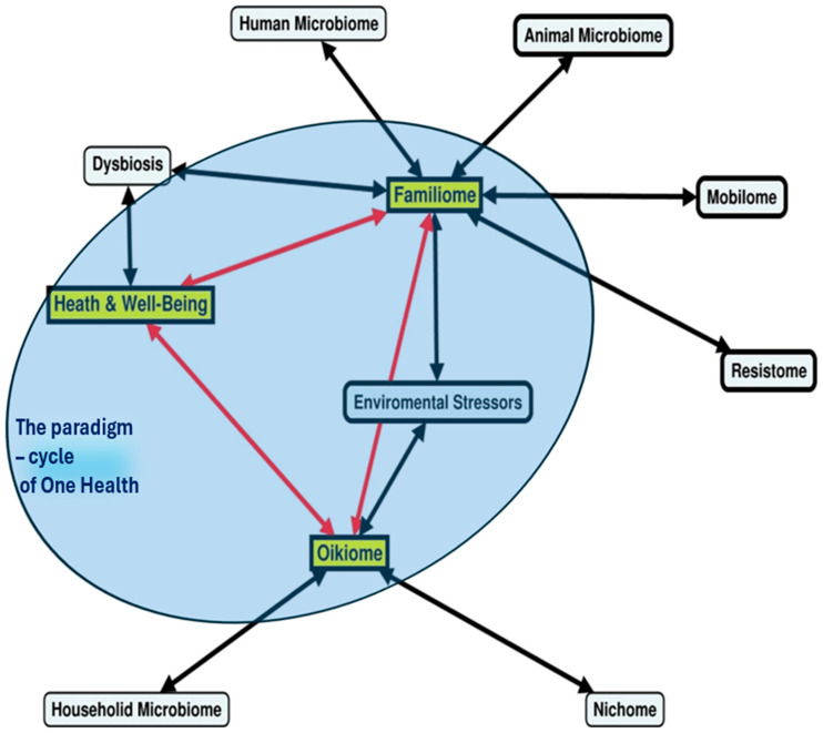 Diagram illustrating the One Health concept and its interconnected factors.
