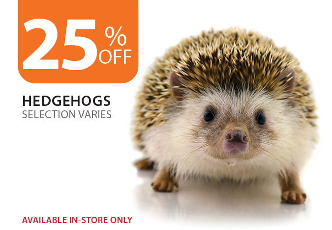 25% off Hedgehogs. Available in-store only