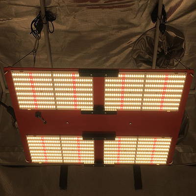 The Horticulture Lighting Group R-Spec LED Grow Light showing off its 1000+ PPFD intensity.