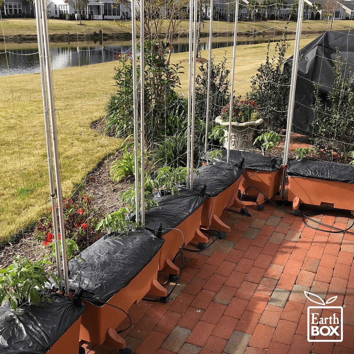 Six terracotta EarthBox Original containers growing various crops using the EarthBox automatic watering system