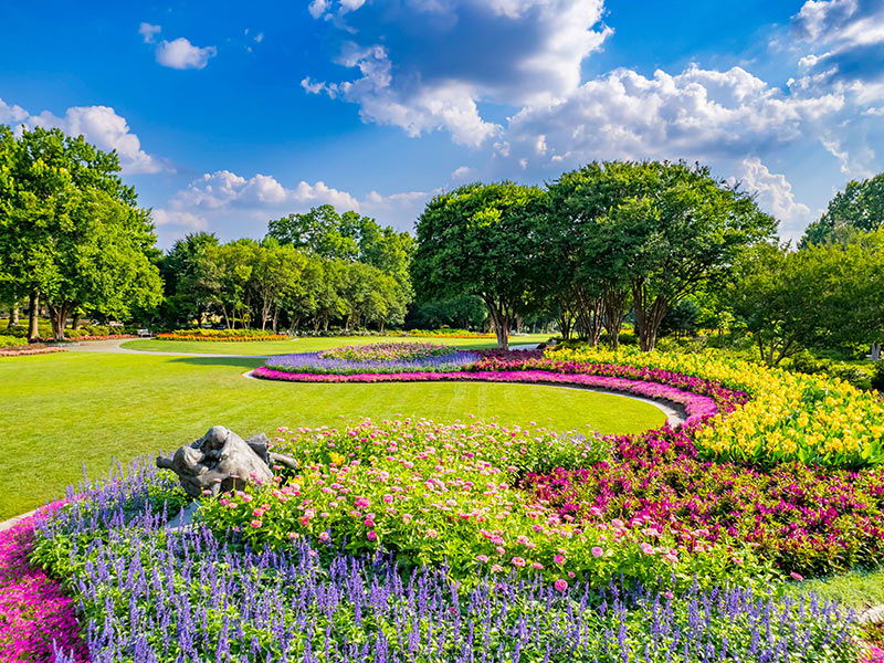 Margaret Elizabeth Jonsson Color Garden