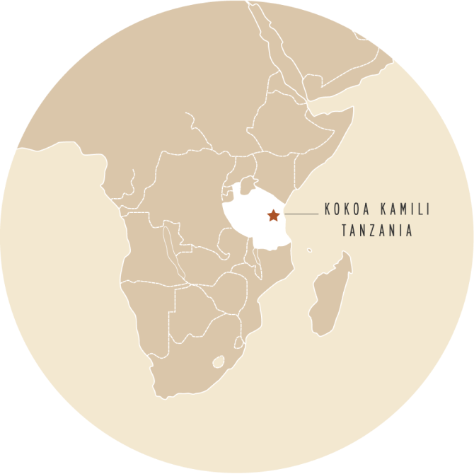 Kokoa Kamili, Tanzania map