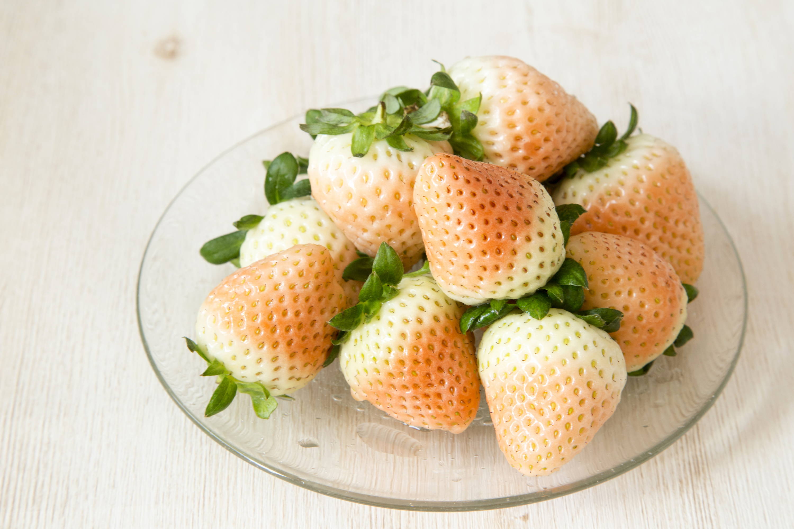 7 Most Expensive Fruits In Japan Bokksu