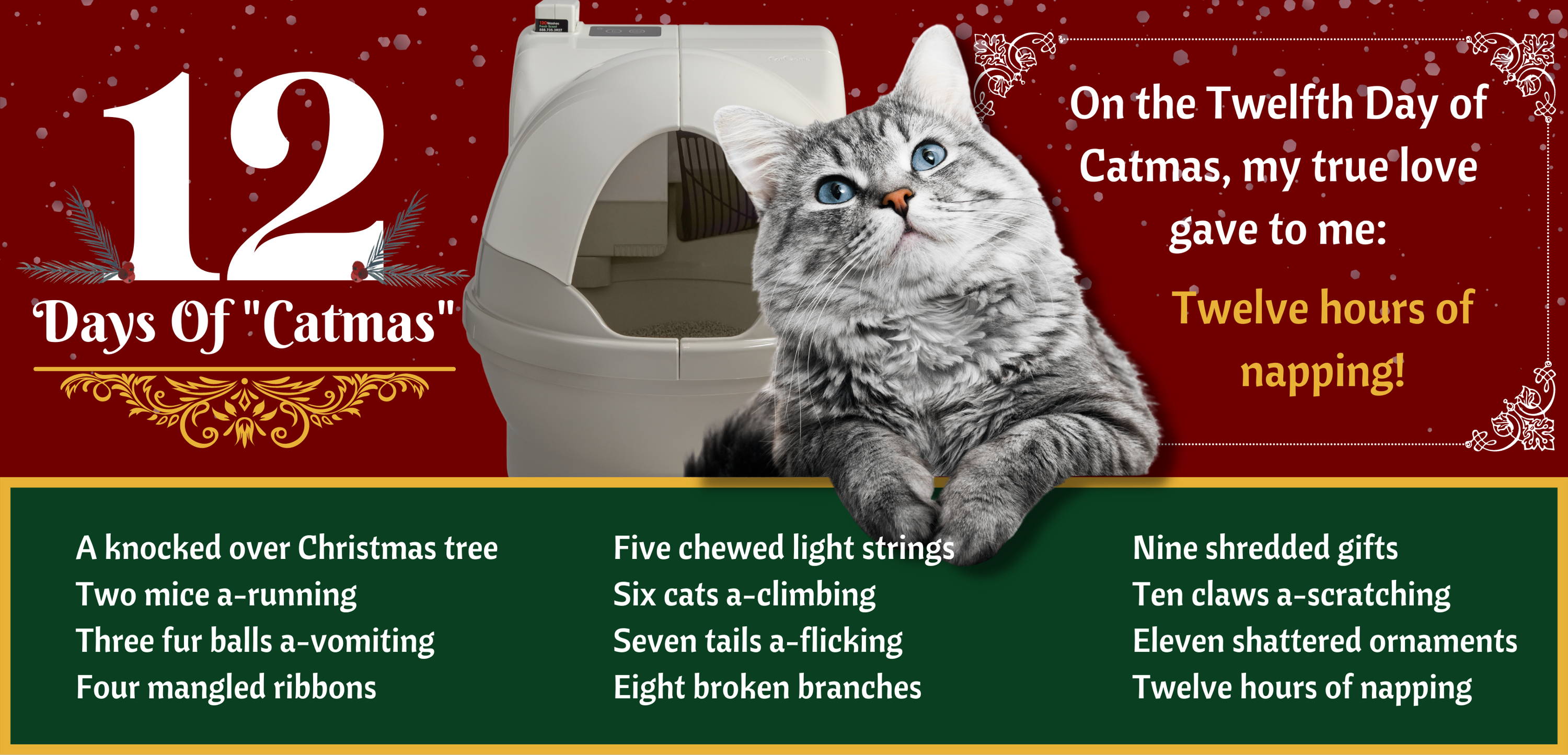 A banner advertising the 12 days of catmas