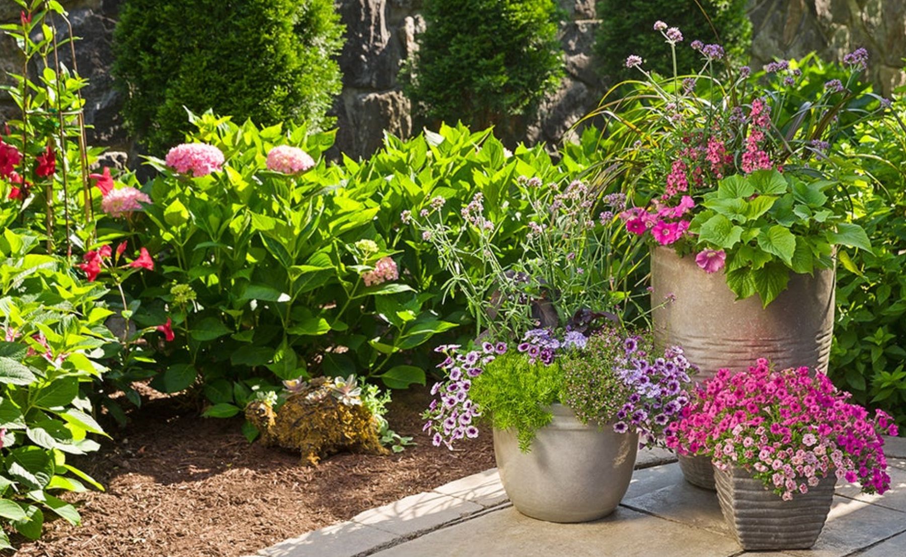 Backyard garden filled with Meteor Shower®, Angelface® Perfectly Pink, Superbells® Blue Moon Punch™, Sweet Caroline, Sweet Potato Vine, Superbells® Double Orchid, Lemon Coral®, Superbells® Sweet Tart™